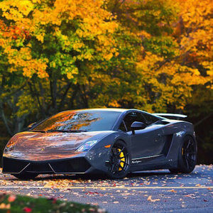 Meet your Posher, Ashton